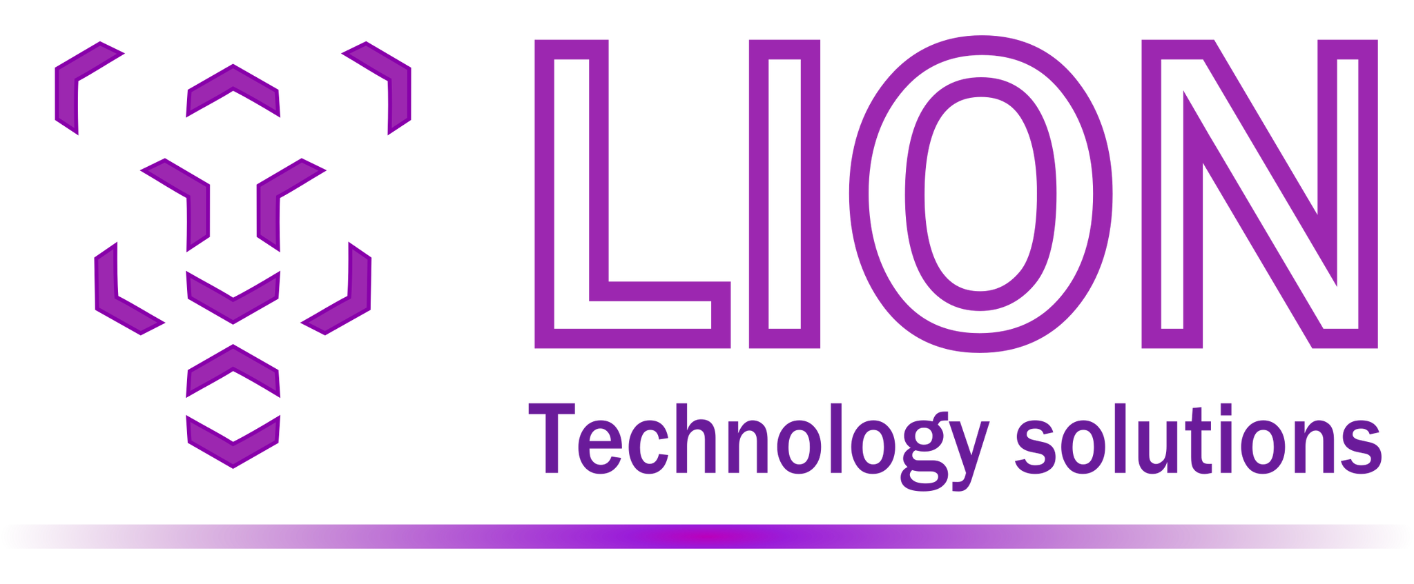 Lion Technology Solutions 